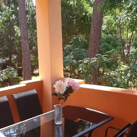 Luxury Elviria *